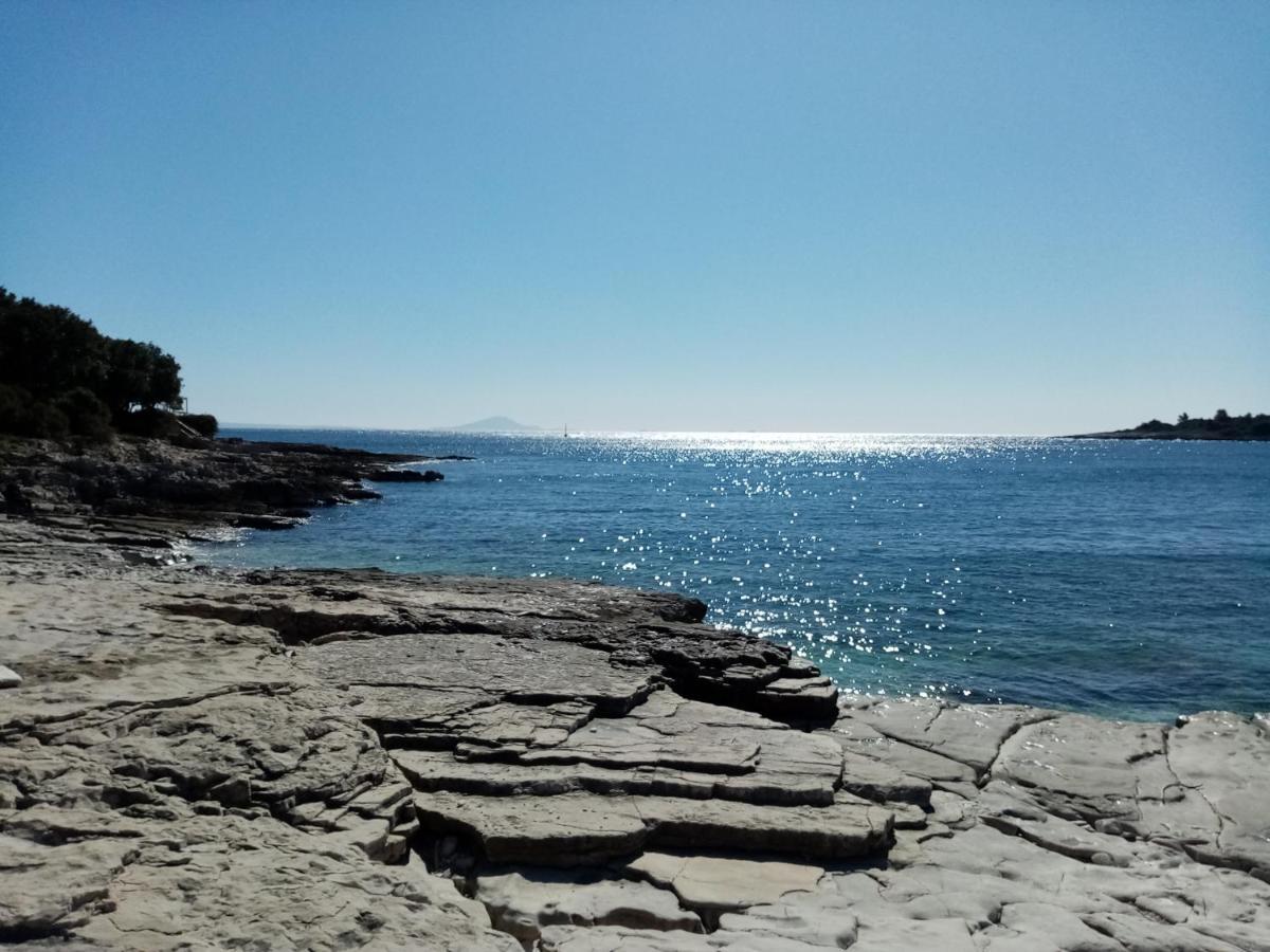 Kuca Za Odmor Dean Villa Pavicini Bagian luar foto